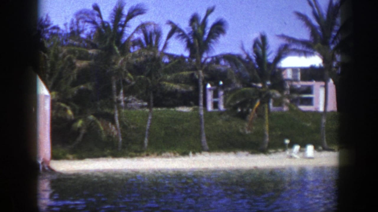 Palm-lined waterfront with sandy beach, blue water, and pink-toned buildings on a grassy bank.