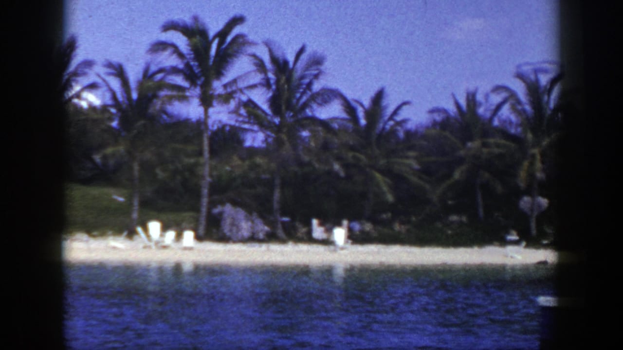 Palm-lined beach seen across blue water with lounge chairs on the sand.