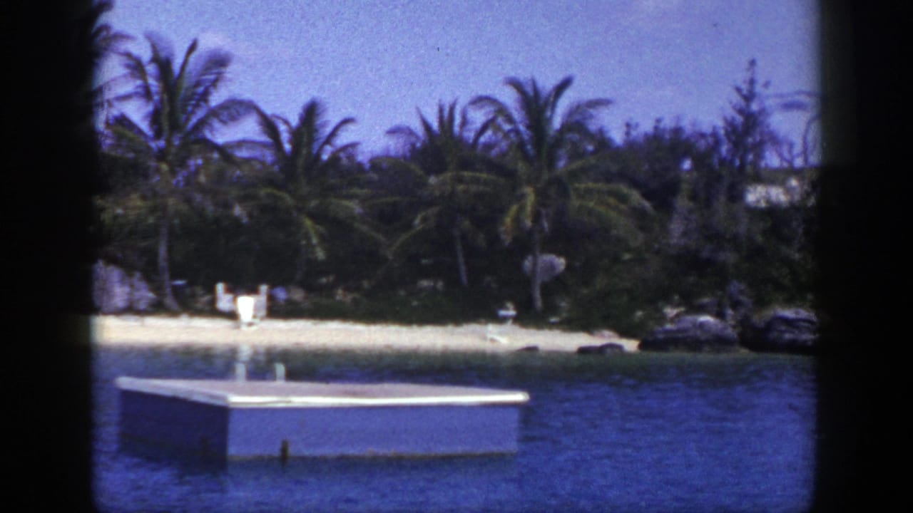 Palm-lined sandy shore across blue water with a small floating dock in the foreground.
