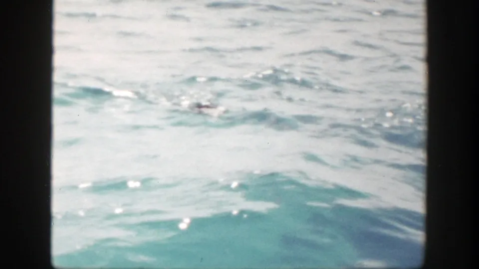 1948 8mm frame showing rippled seawater with a small dark surfacing shape that may be the flagged visible person, though no face is discernible.
