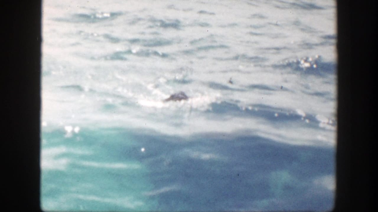 Sunlit blue water with ripples seen from a boat-side 8mm frame.