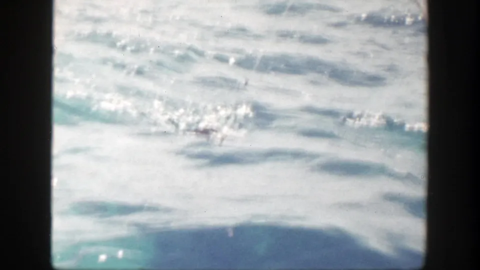 1948 New York 8mm frame with a dark fish shape near the surface of bright, rippling water.