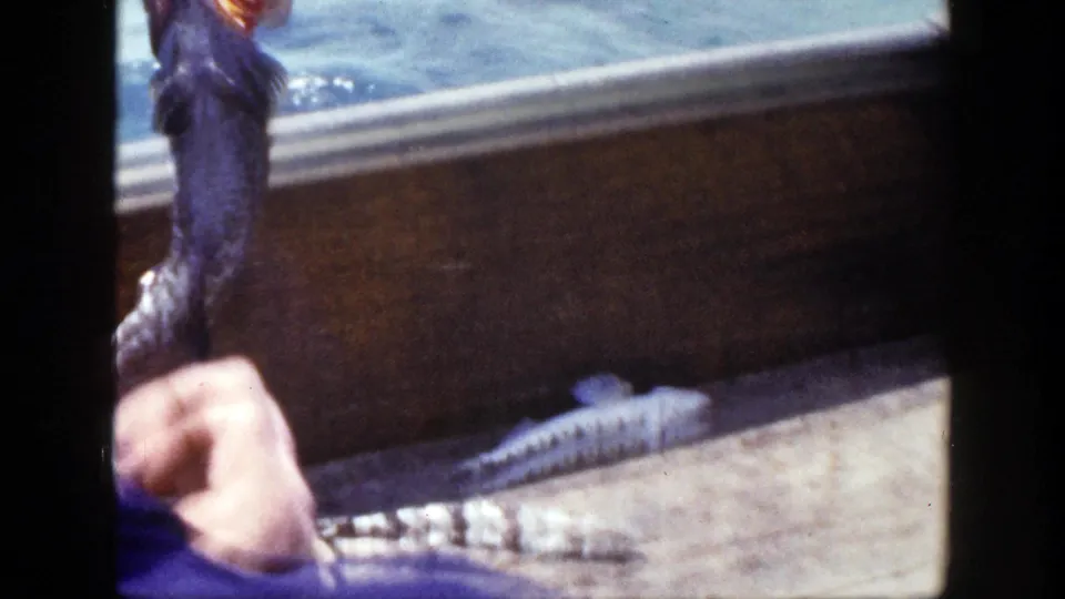 Close 8mm view of an adult on a boat lifting a dark fish from the water during a New York fishing trip.