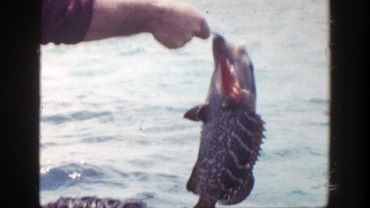 Hand holding a freshly caught striped fish above ocean water.