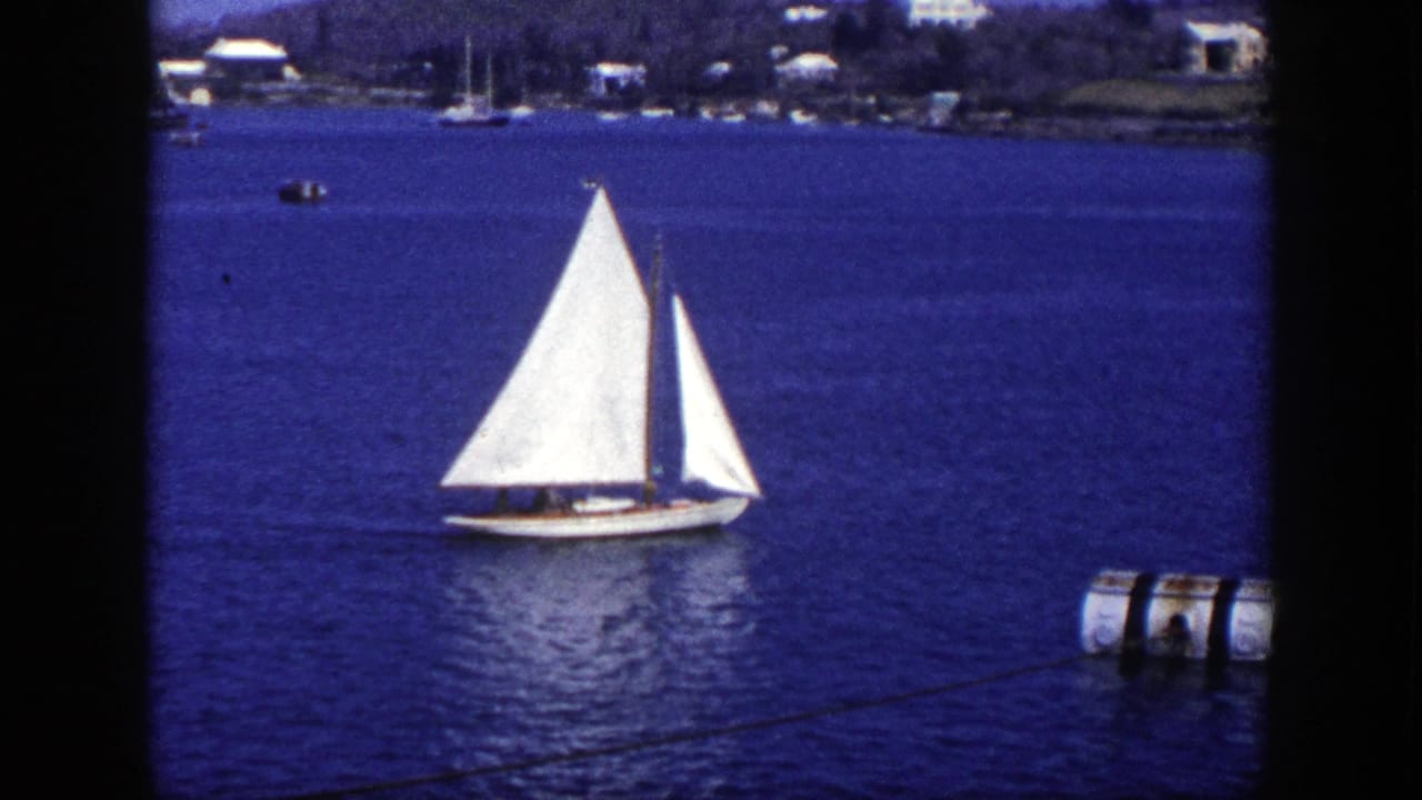 White sailboat crossing blue water with shoreline houses and moored boats in the distance.