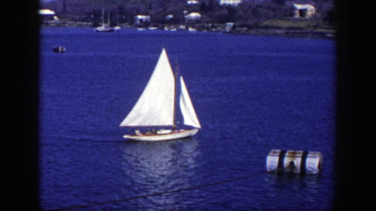 White sailboat on blue water with a floating cylindrical buoy and distant shoreline houses.