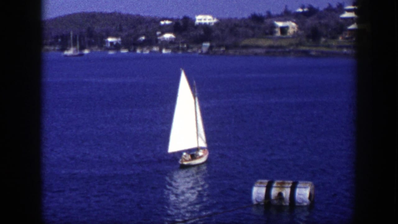White-sailed small boat on blue water near a cylindrical buoy with wooded shoreline behind.