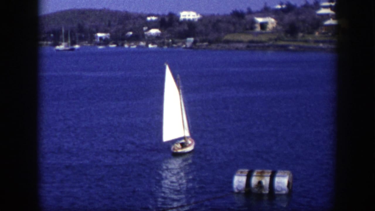 Small white sailboat on blue water with shoreline houses and a buoy nearby.