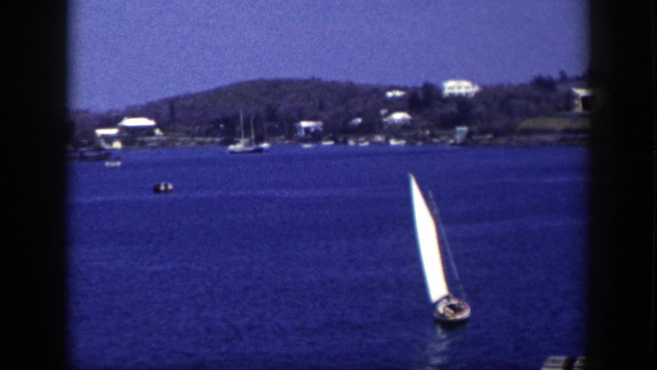 White sailboat on blue water with distant shoreline houses and low hills.