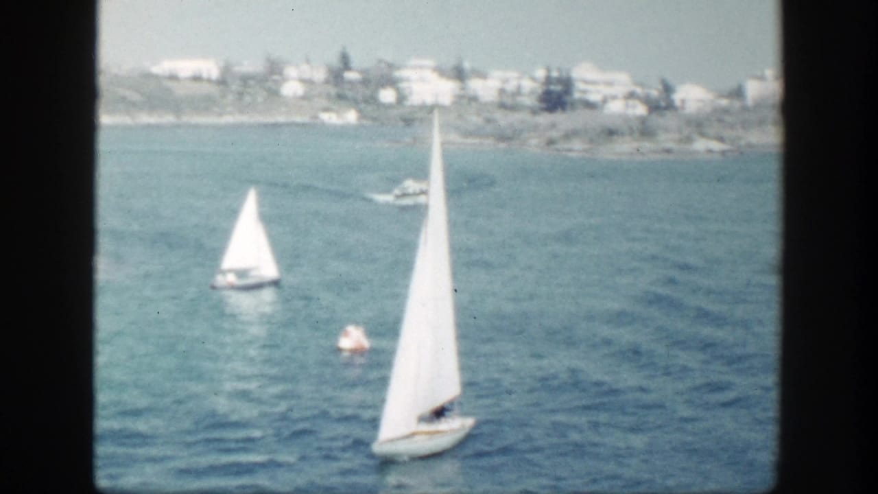 White sailboats move across coastal water in New York, with a low shoreline and pale buildings in the distance.