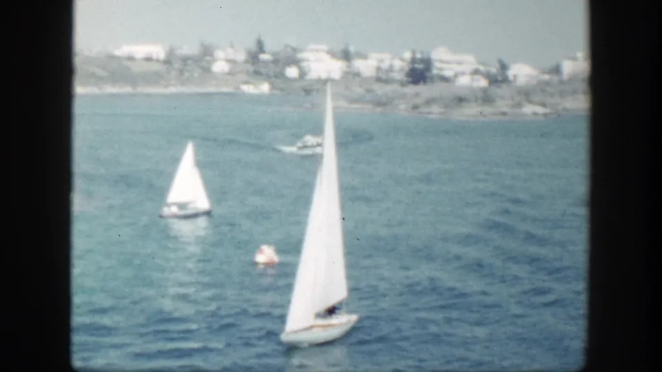 White sailboats move across coastal water in New York, with a low shoreline and pale buildings in the distance.