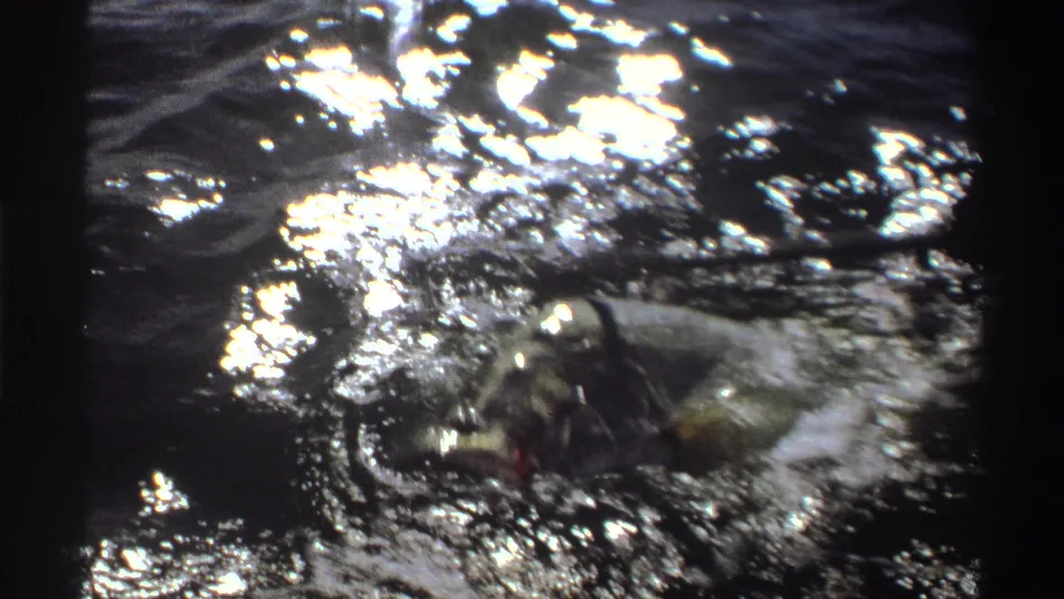 1969 Nigeria 8mm frame with a large hooked fish visible just below the reflective water surface near the side of a boat.