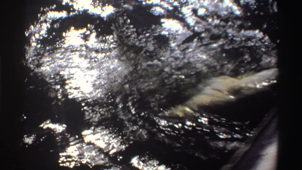 1969 Nigeria 8mm frame showing a hooked fish turning in the water as sunlight flashes across the surface beside the boat.