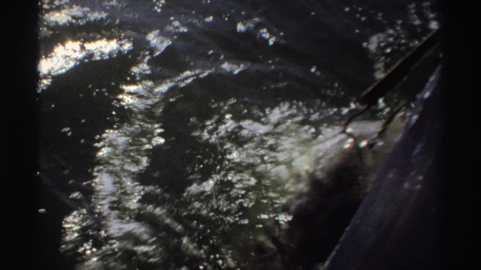 1969 Nigeria 8mm frame with a person's arm or hands near fishing gear as the fish churns beside the boat in bright water.