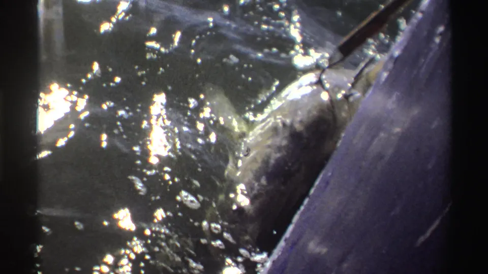 A large grey fish struggles on the hook near a slanted boat or dock edge, with bright glare and bubbles across the water.