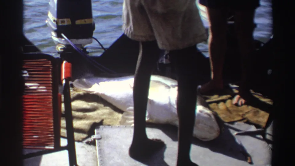A large fish lies on the small boat deck in Nigeria, 1969, near a person in light shorts, an outboard motor, and visible deck gear.