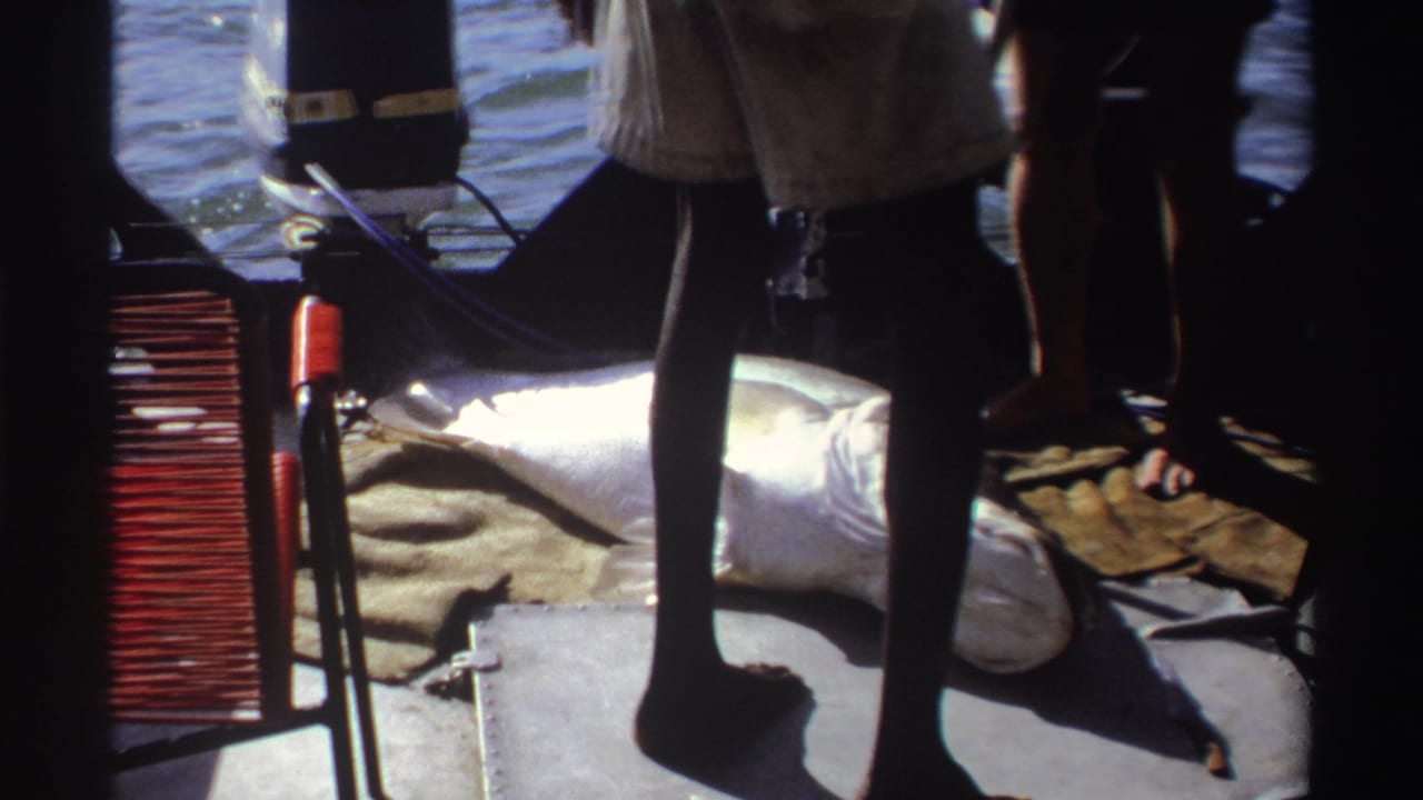 Two adults stand on a small boat beside a large silvery fish lying on deck near the water.