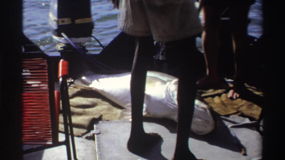 1969 Nigeria 8mm frame showing adults on a small motorboat with a large fish stretched across the deck in bright sun.