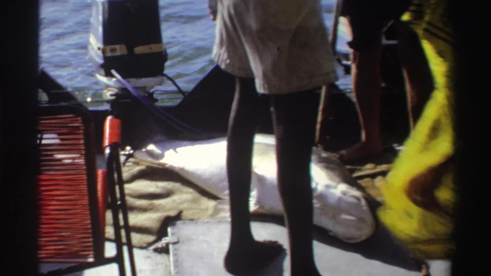 1969 Nigeria home-movie frame with a large fish on the deck of a small motorboat, partly obscured by standing adults.
