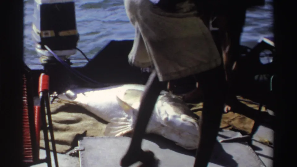 1969 Nigeria 8mm frame showing a large fish on a small boat deck with adults standing close by in harsh sunlight.