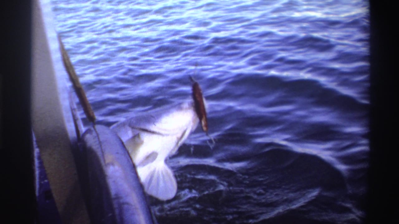 1969 Nigeria 8mm frame showing a pale fish at the boat side in choppy water, with a pole or fishing line nearby.