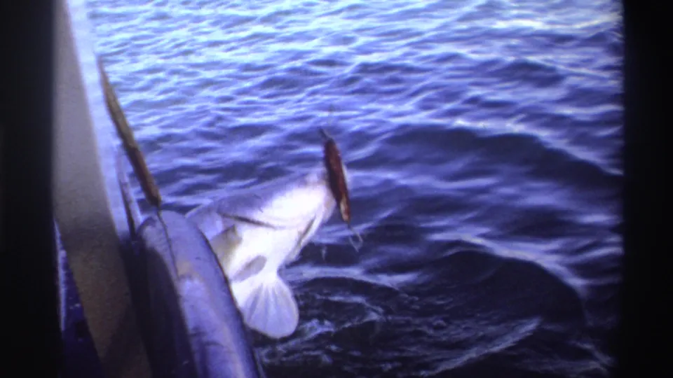 1969 Nigeria 8mm frame showing a pale fish at the boat side in choppy water, with a pole or fishing line nearby.