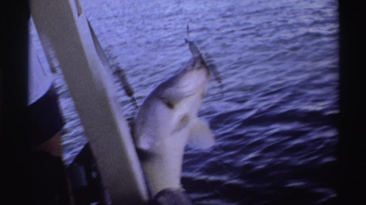 1969 Nigeria 8mm frame showing a fish lifted near the boat side, with a vertical support and partial clothing visible.