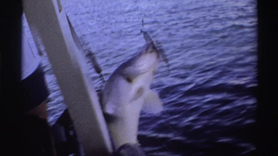1969 Nigeria 8mm frame showing a fish lifted near the boat side, with a vertical support and partial clothing visible.