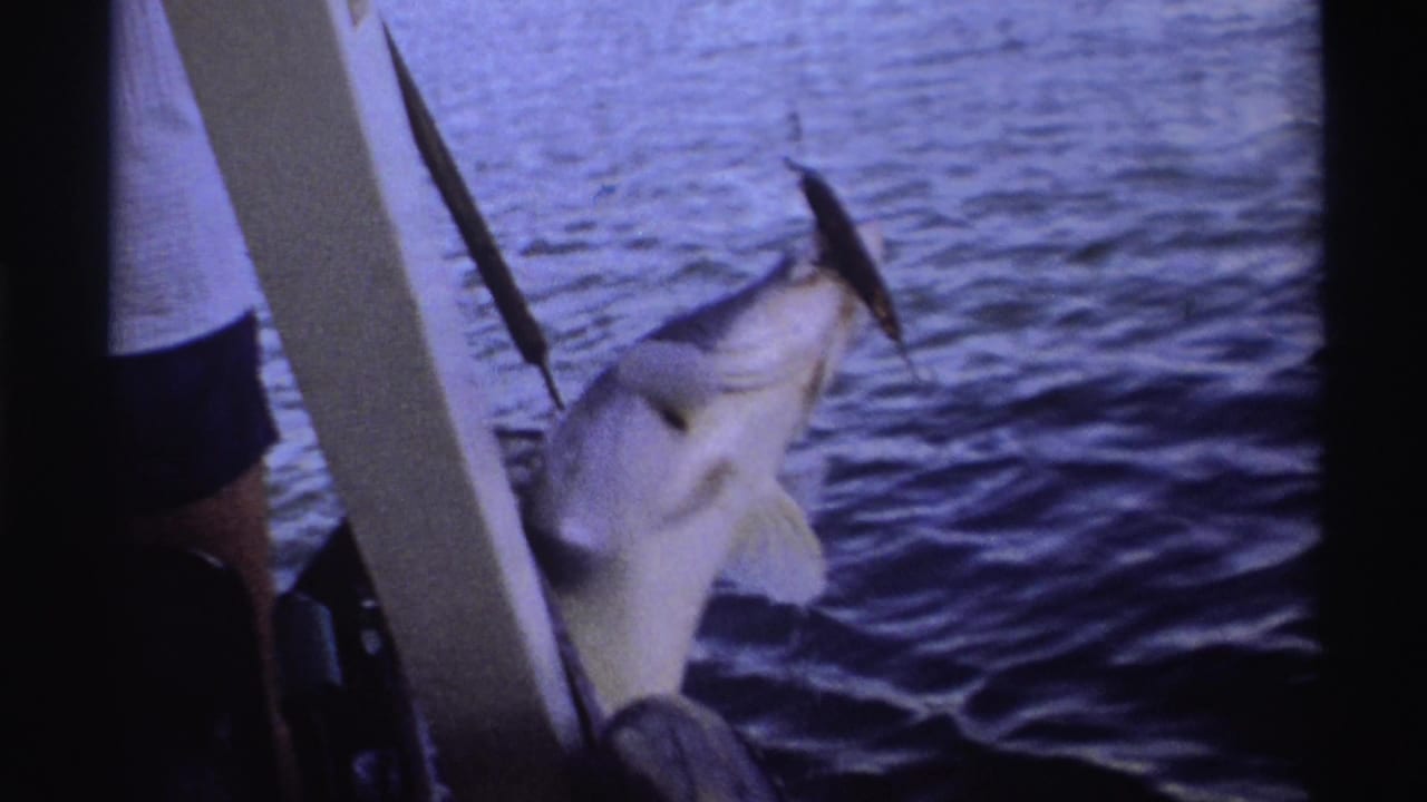 1969 Nigeria 8mm frame showing a fish suspended beside the boat with tackle above it and choppy water behind.