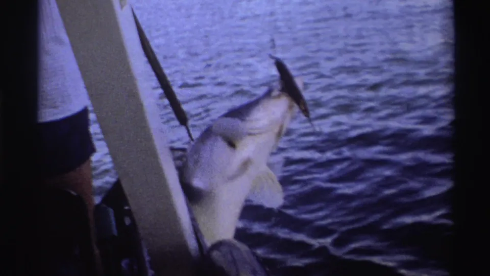 1969 Nigeria 8mm frame showing a fish suspended beside the boat with tackle above it and choppy water behind.