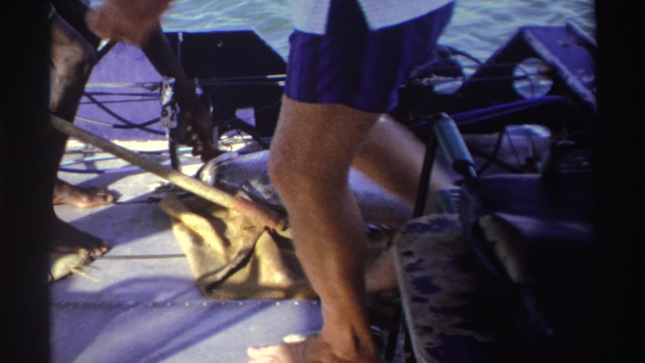 1969 Nigeria fishing-trip frame with a large fish on the deck, adults in shorts, boat seating, water, and gear visible.