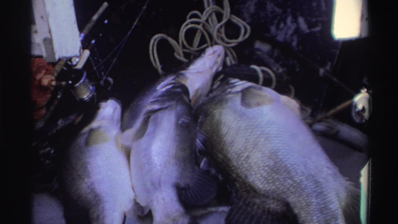 Dead fish are grouped near coiled rope and fishing tackle.