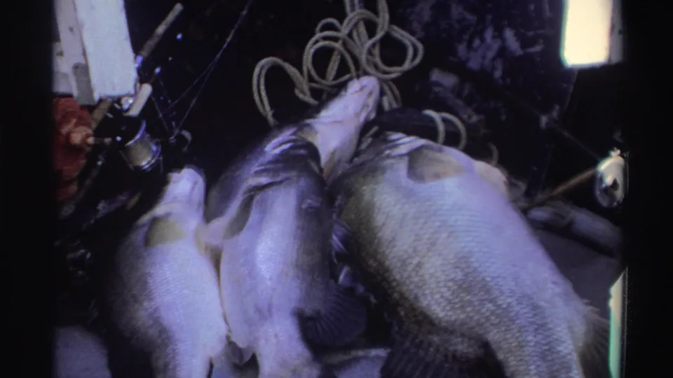 1969 Nigerian home-movie frame with four fish lying beside coiled rope, a reel, and line, likely on a boat or work surface.