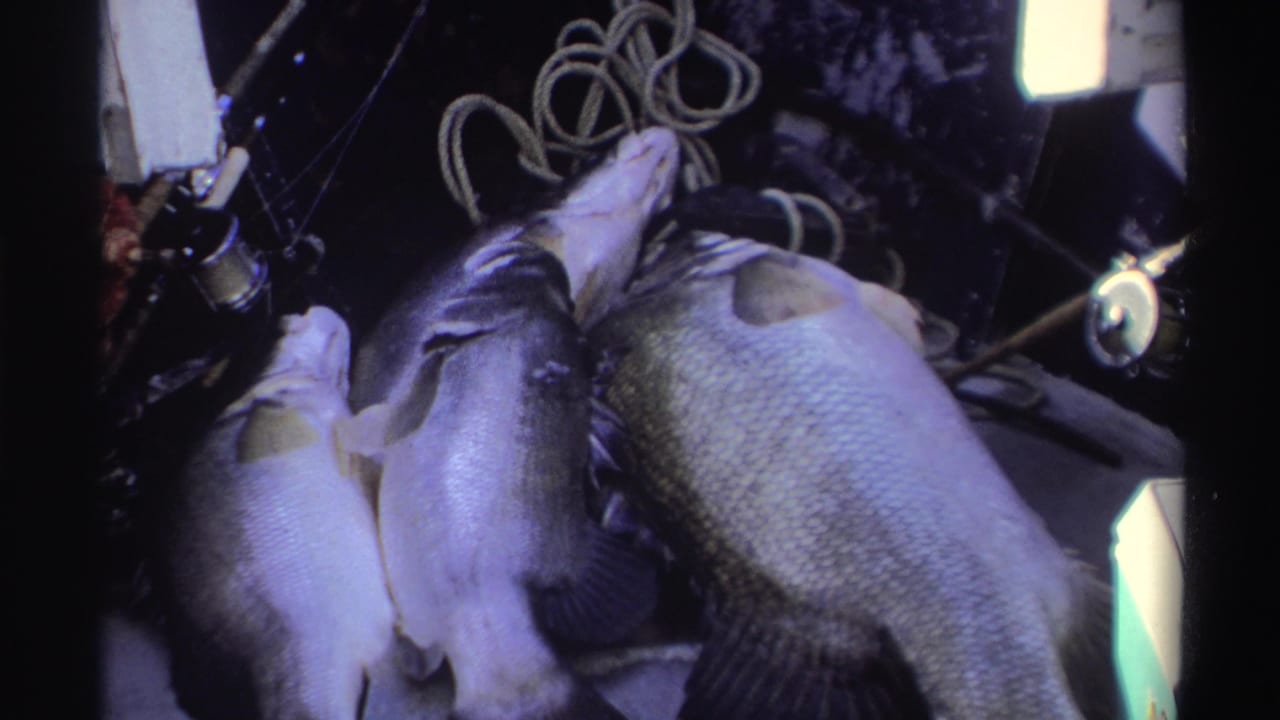 Close 1969 Nigeria 8mm view of freshly caught fish beside rope, a reel, and a bright float or lure near the edge of the frame.