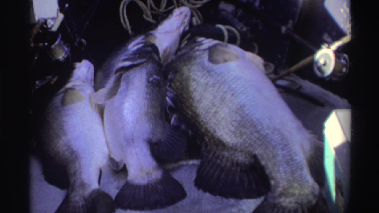 1969 Nigerian 8mm frame showing the fish from a slightly shifted angle, with fins, scales, rope, tackle, and a bright float visible.