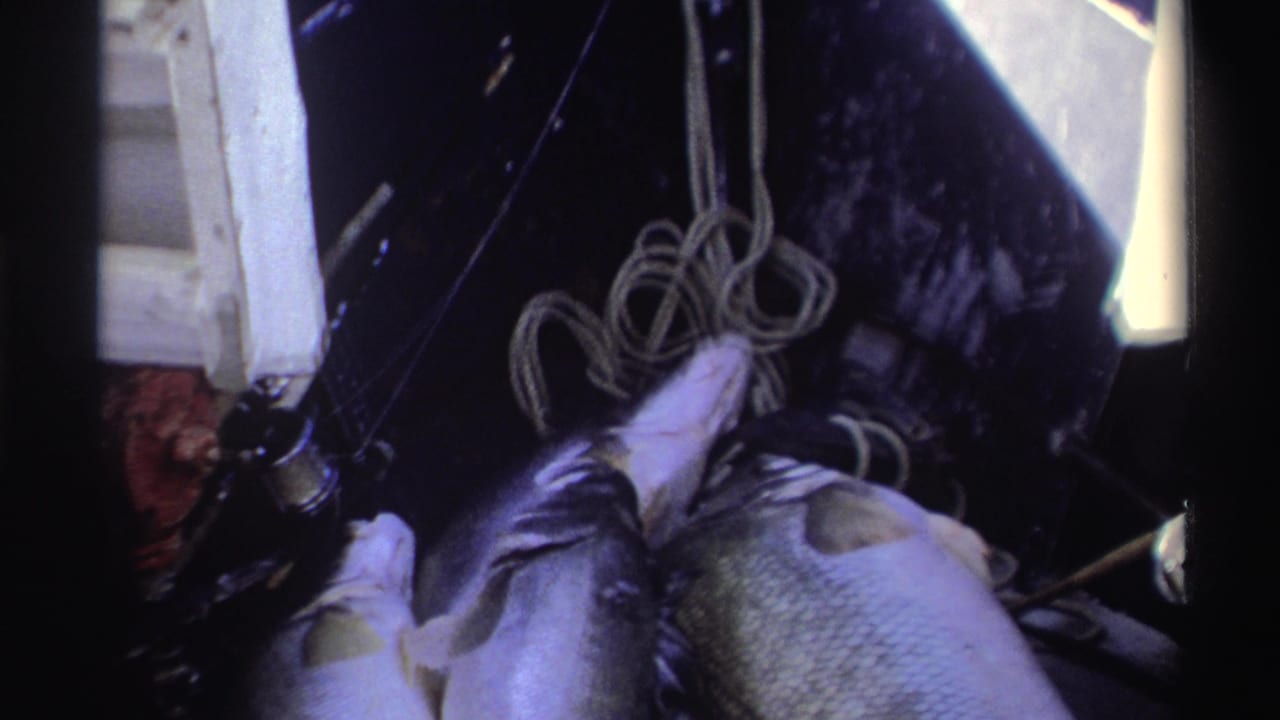 1969 Nigeria home-movie frame with large fish on a boat near coiled rope and dark fishing equipment.