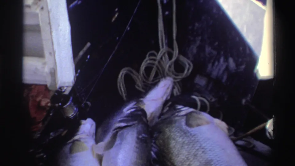 1969 Nigeria home-movie frame with large fish on a boat near coiled rope and dark fishing equipment.