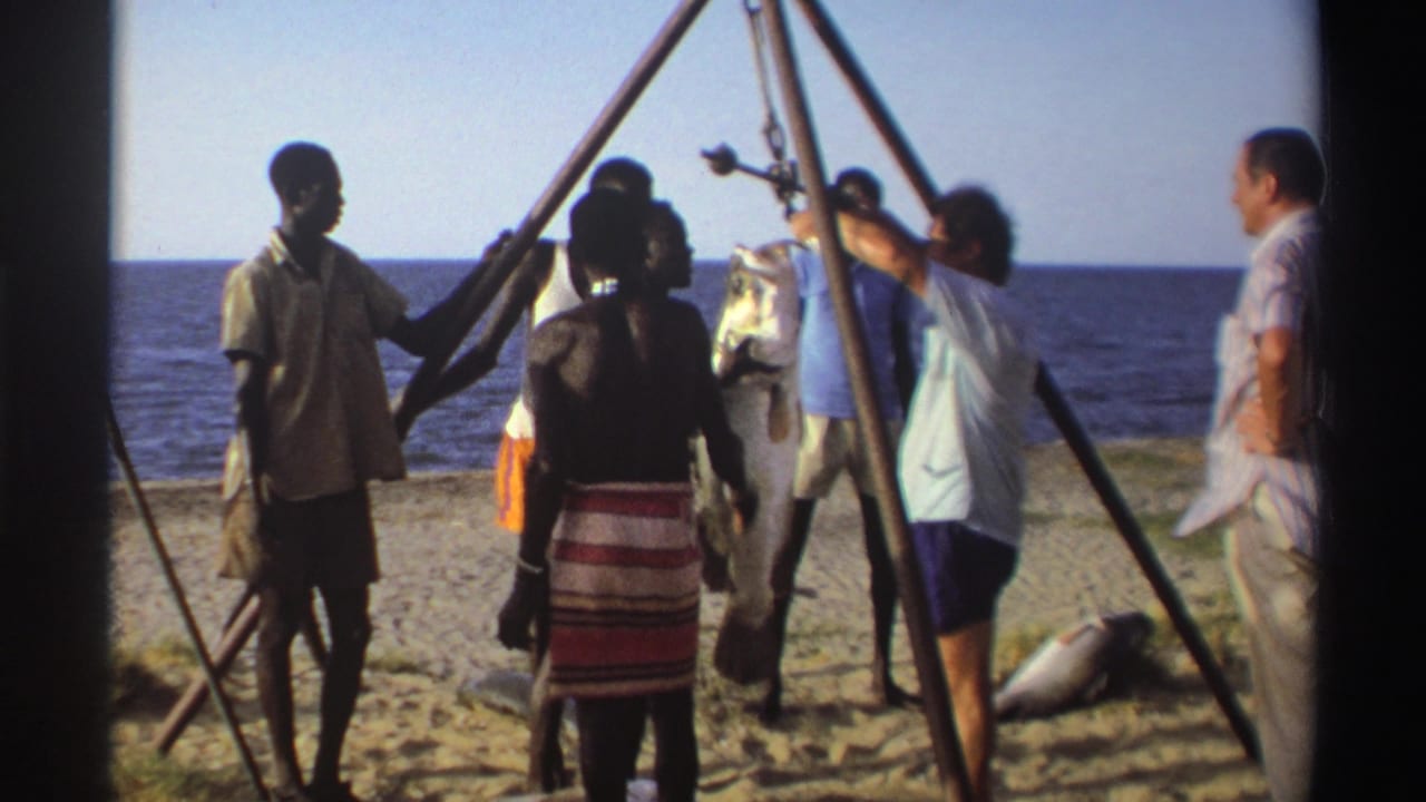 Men on a Nigerian beach in 1969 gather around a wooden tripod scale with a large fish suspended near the shoreline.