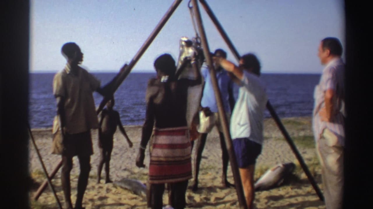 A group of men in Nigeria in 1969 observe and handle a large fish suspended from a wooden tripod scale on the beach.