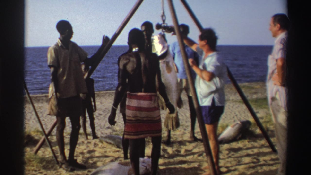 Men stand on a sandy beach around a tripod scale holding a large fish, with the ocean behind them.