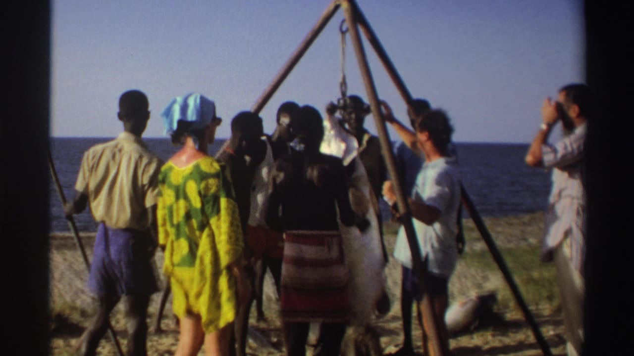 Nigeria 1969 beach scene with people clustered around a tripod pulley lifting a large fish, filmed in warm 8mm color.