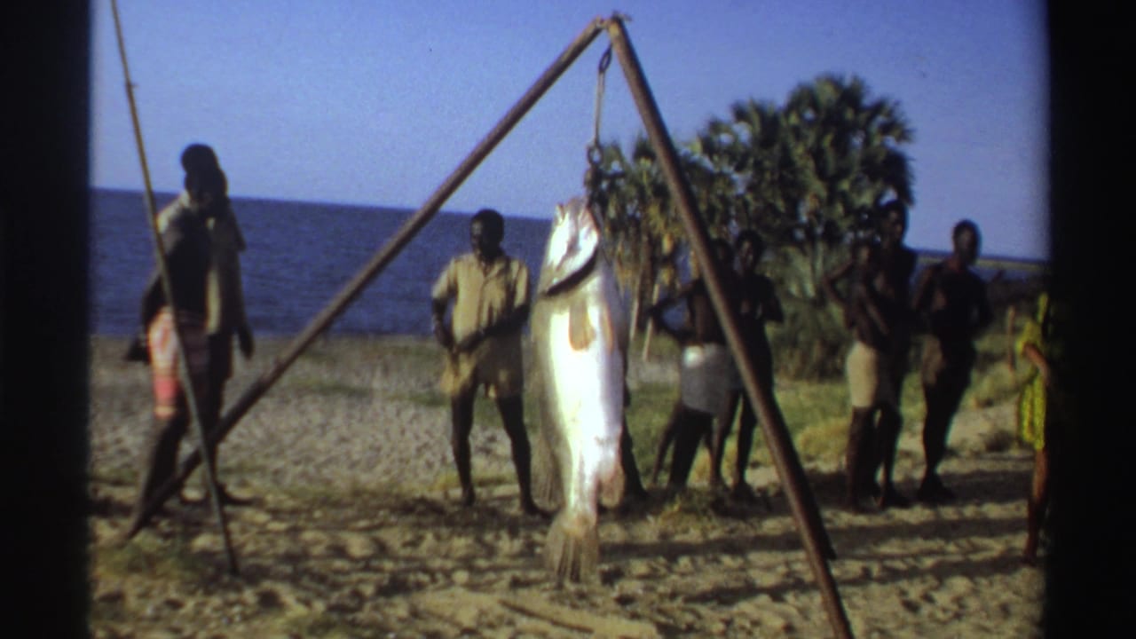 Nigeria 1969 coastal frame showing people gathered around a large fish suspended from a tripod, with ocean and palm trees behind them.