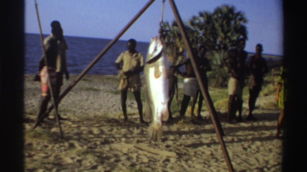 Nigeria 1969 home-movie frame showing men on a beach gathered near a large pale fish suspended from a wooden tripod by the ocean.