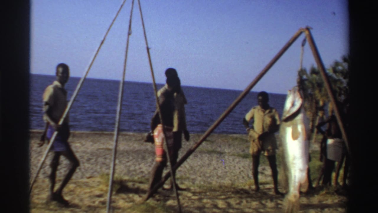 Men walk and stand near a wooden tripod while a large fish hangs at the right edge of the beach scene.