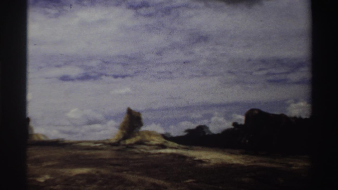 Lion resting on a rocky outcrop beneath a cloudy sky, with dark trees along the horizon.