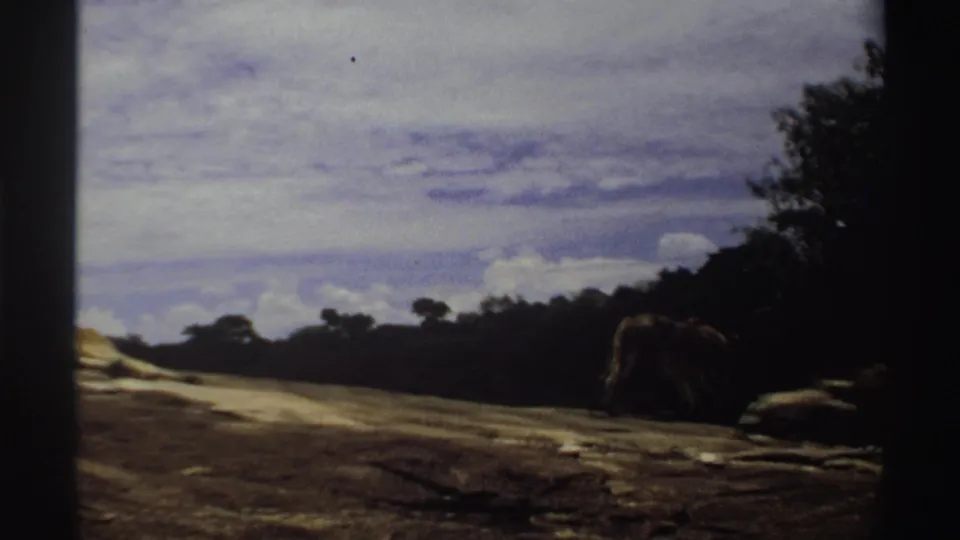 1969 Nigeria 8mm frame showing a lion walking slowly across rocky grassland toward trees beneath a cloudy sky.