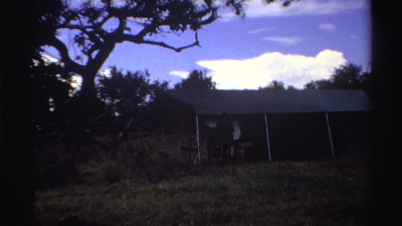 1969 Nigeria 8mm frame showing a small green-roofed shed in grass, partly shaded by a large tree under a bright sky.