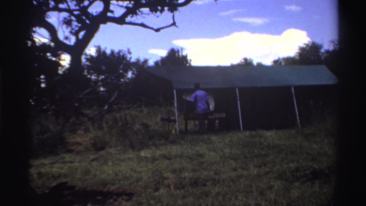 Person standing near a canvas tent in a grassy field under trees.