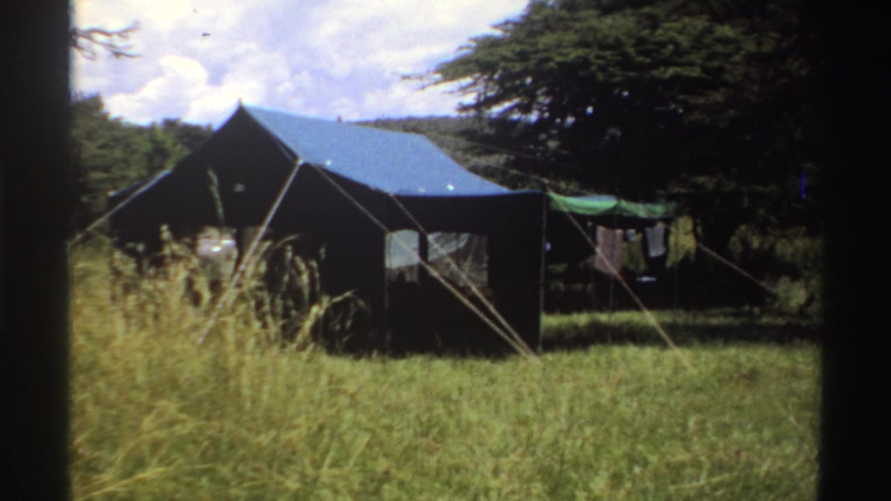 Tent in tall grass with a green tarp and hanging laundry behind it under trees.