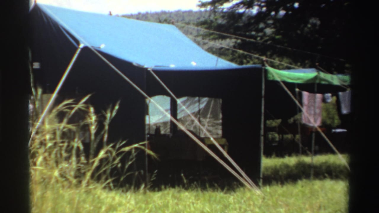 Blue and dark canvas tent in tall grass with guy ropes and laundry nearby.
